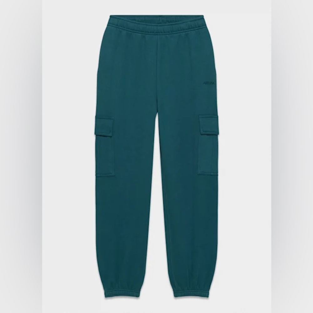 Aritzia Cozy Fleece Mega Cargo Jogger